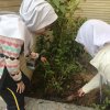 نهال‌کاری دانش آموزان در روز درختکاری