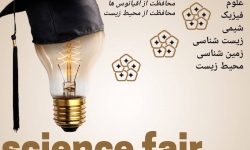 برگزاری جشنواره Science fair در مجتمع آموزشی توحید دختران 